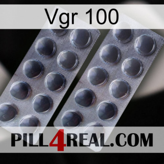 Vgr 100 31.jpg